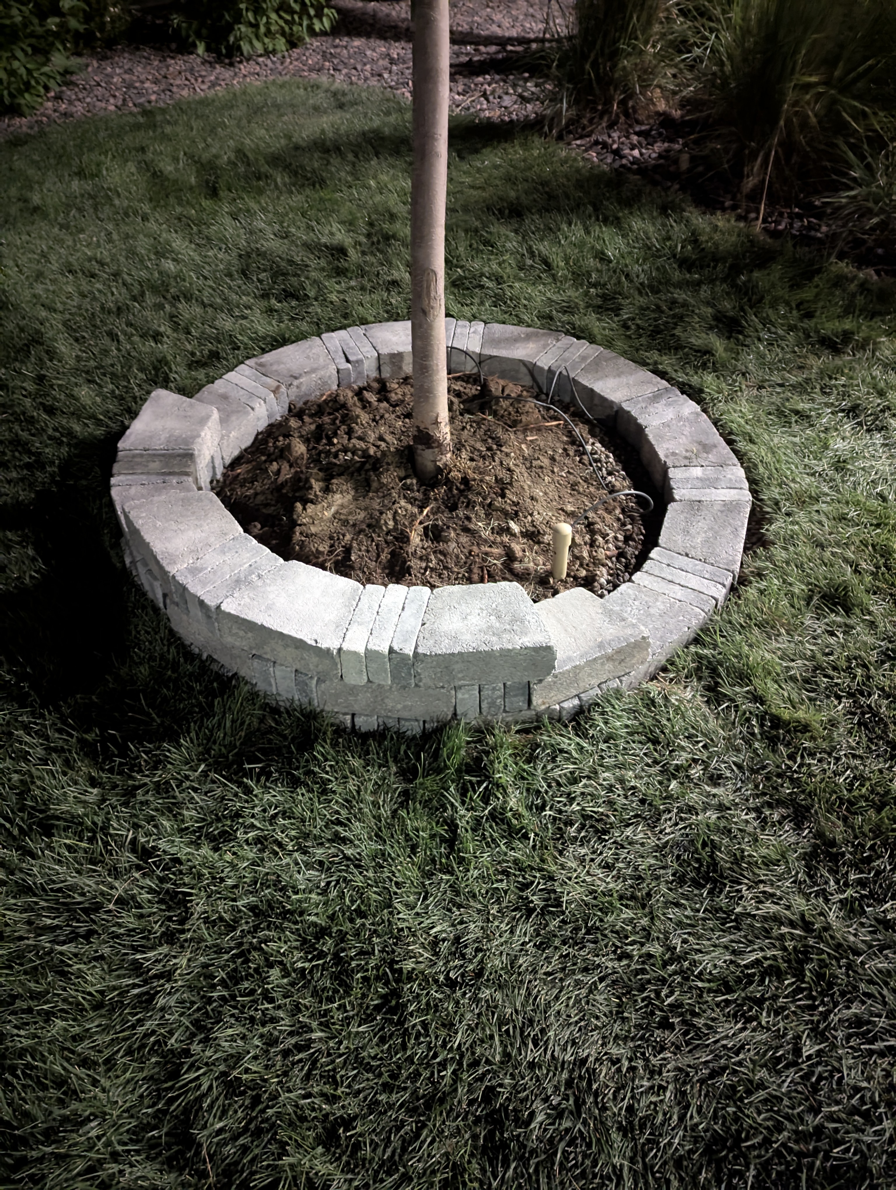 Tree Ring, Home Improvement, Morrison, Colorado